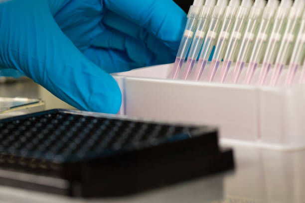istock pipette tips, hand with blue glove, pink liquid 955321166