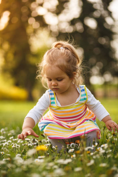 istock Cute girl picking flowers 955332014