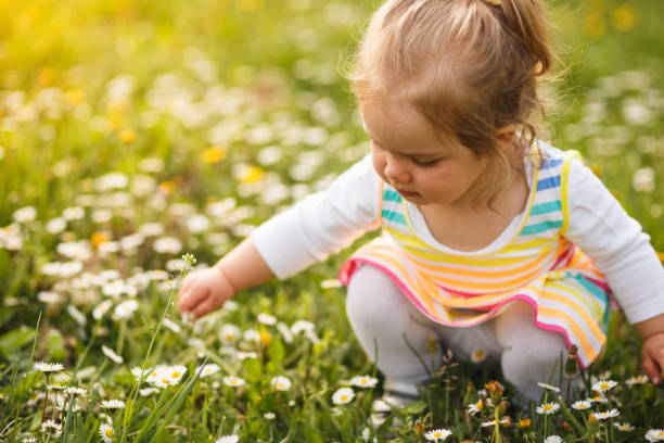 istock Cute girl picking flowers 955332042