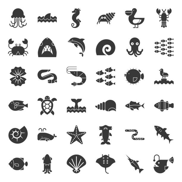 illustrations, cliparts, dessins animés et icônes de vie de l’océan aquatiques telles que le poulpe, shell, pélican, troupeau de poisson, jeu d’icônes solide - sea snail