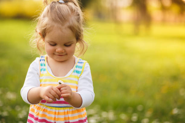 istock Daisy girl 955336386