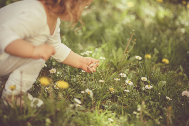 Copy space shot of a little girl crouching on grass and picking wildflowers.