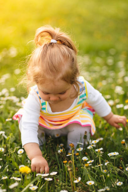istock Girl picking flowers 955336404