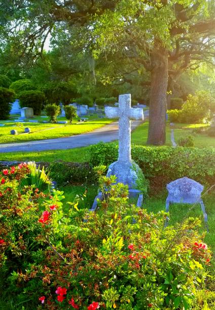 istock Magnolia Cemetery in Charleston, SC 955341816