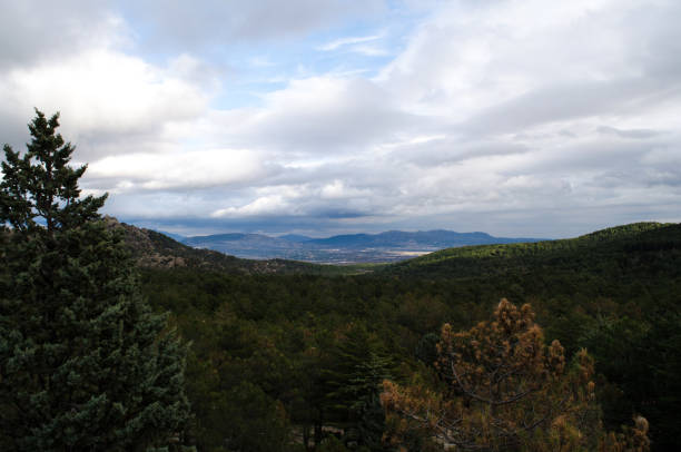 guadarrama - gneiss photos et images de collection