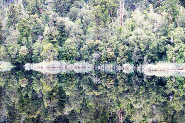 istock Lake Matheson Reflection in New Zealand 955358260