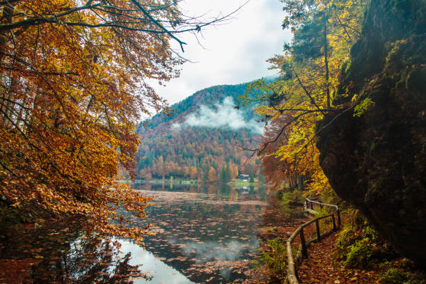 istock Autumn foliage at the alpine lake 955362014