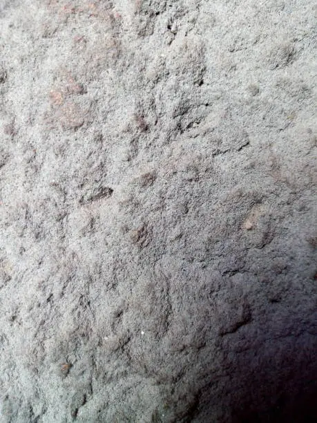 Photo of Hard and grey textured background of emboss cemented wall