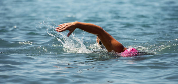 istock Man swimmer swimming crawl in blue sea 955370472