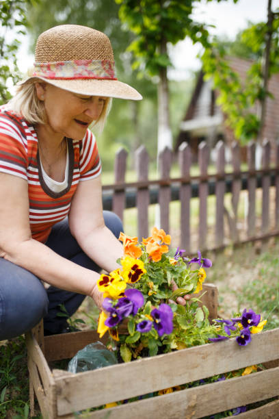 istock Active Senior Woman Gardening 955374970