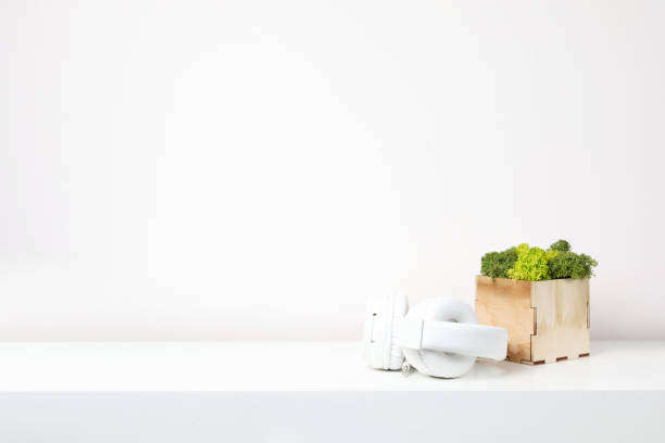 Blank wall with cactus. Wall art mock up. Modern home decor tropical plant. Cactus on white background. Minimalism flat lay. gold desk lamp stock pictures, royalty-free photos & images