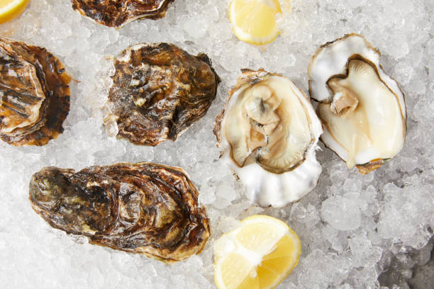 istock Fresh oysters and lemons served on ice 955388556