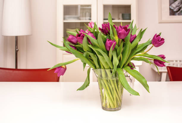 fioletowe tulipany w szklanym wazonie w jasnym salonie - flower gift decoration domestic room zdjęcia i obrazy z banku zdjęć