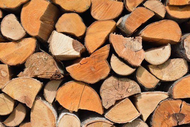 Firewood background A pile of stacked firewood, prepared for heating the house. Chopped firewood on a stack. firewood stock pictures, royalty-free photos & images