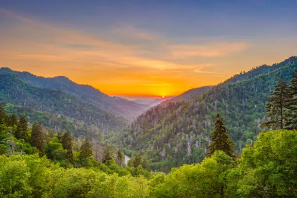 Photo of Newfound Gap Smoky Mountains