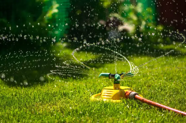 Watering a green lawn in the garden. Garden hose and sprayer. Splashes of water in the sun