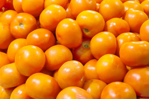 istock A pile of orange tomatoes in the store 955416210