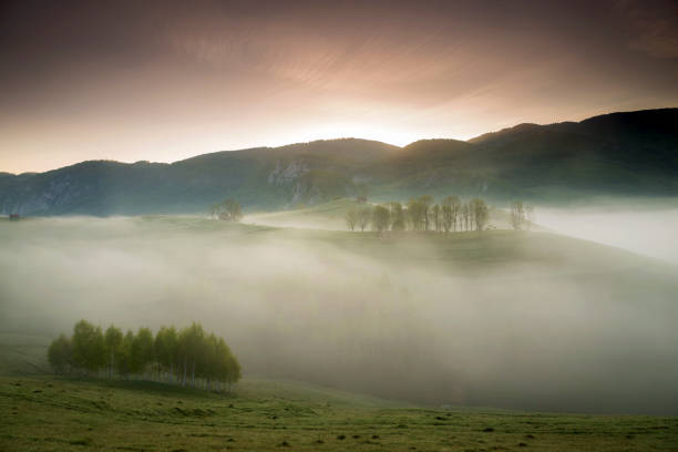 istock Spring foggy morning above Aries Valley, Apuseni Mountains 955416488