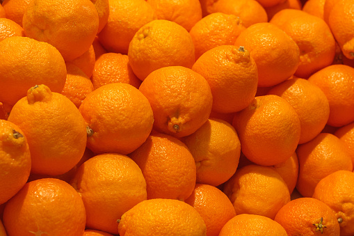 A pile of orange Clementines fruits or minneola tangelo as background, texture
