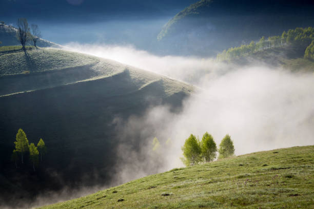 istock Spring foggy morning above Aries Valley, Apuseni Mountains 955417078