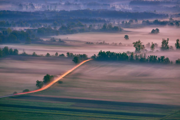 istock Foggy landscape city 955425492