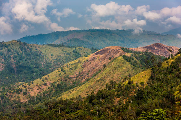 istock Rain forests and mist-covered mountains, Thailand 955425922