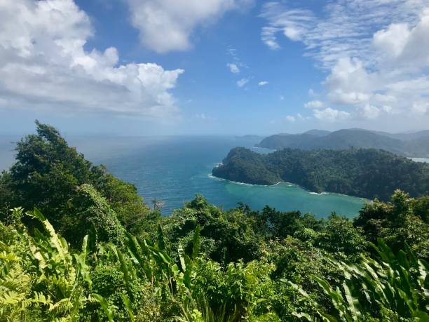 hermoso mirador de maracas con exuberante vegetación y mar turquesa en la isla caribeña de trinidad y tobago - humboldt county california coastline island fotografías e imágenes de stock