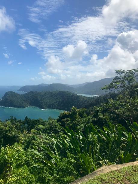 beautiful maracas lookout point mit üppigem grün und türkisblauen ozean auf der karibischen insel trinidad & tobago - humboldt county california coastline island stock-fotos und bilder