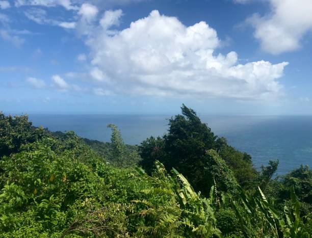 beautiful maracas lookout point mit üppigem grün und türkisblauen ozean auf der karibischen insel trinidad & tobago - humboldt county california coastline island stock-fotos und bilder