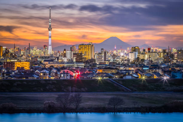 도쿄 시티 뷰 및 후지산 일몰 후 - tokyo prefecture tokyo tower night skyline 뉴스 사진 이미지