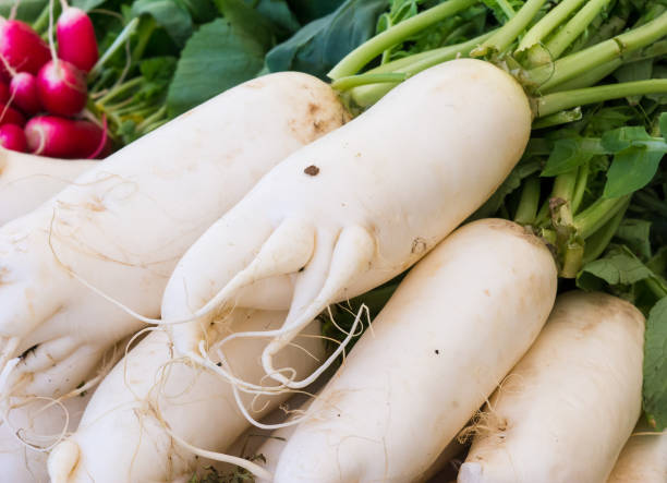 White radish seen at the market