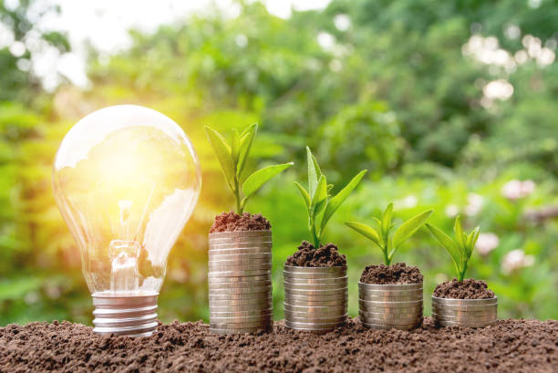 istock Energy saving light bulb and tree growing on stacks of coins on nature background. Saving, accounting and financial concept. 955440364