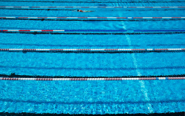 istock swimmer in the Olympic swimming pool with clear blue water 955449802