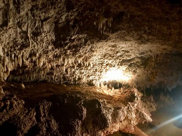 сталактиты и сталагмиты на карибском острове барбадос - cave canyon rock eroded стоковые фото и изображения