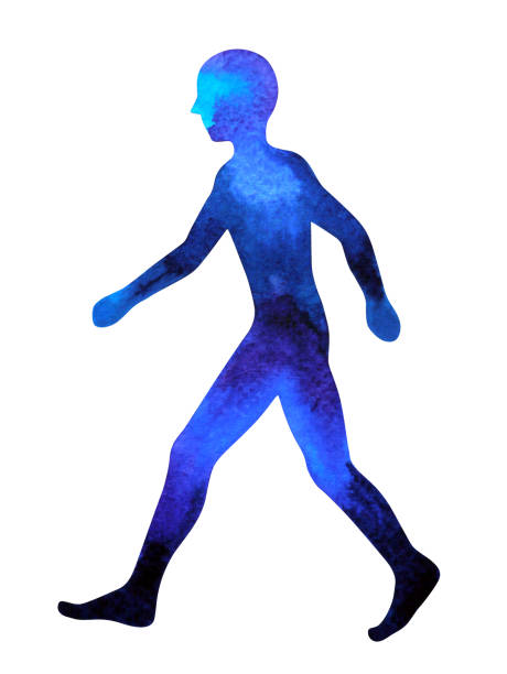 istock human walking pose, abstract body watercolor painting hand drawing 955457640