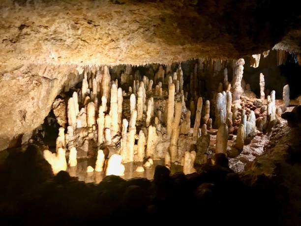 сталактиты и сталагмиты на карибском острове барбадос - cave canyon rock eroded стоковые фото и изображения