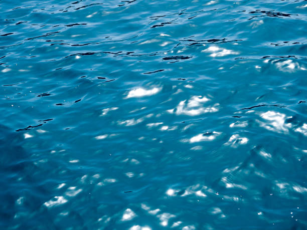 istock water surface. Abstract background, Seawater in sunlight. Summer background. Sunlight bokeh sparkles deep turquoise water mediterranean sea blurry background 955468394
