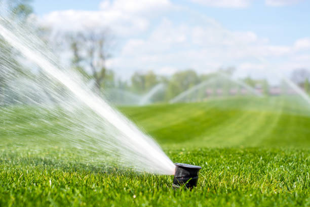 istock irrigation system sprinkles water fountain for long distance 955468676
