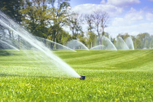 watering a green grass against a blue sky background with clouds and trees