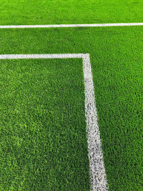 istock White lines on soccer field 955481532