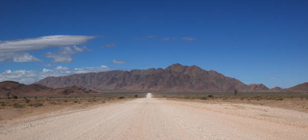 istock Dirt road in the Namib 955484688