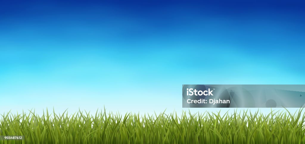 Background with Green Grass Background with fresh green grass, with blue cky, spring or summer realistic vector background, Eps 10 contasins transparency. Grass stock vector