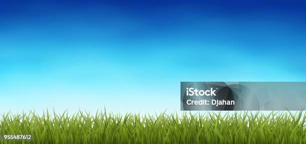 Background With Green Grass Stock Illustration - Download Image Now - Grass, Sky, Backgrounds