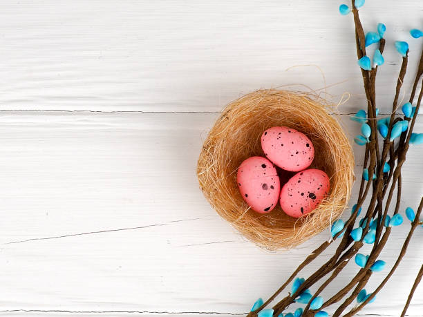 istock pink Easter eggs in nest on white wooden background, copy space 955488850
