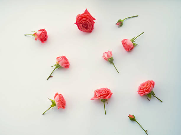 istock Romantic background with red rose, heart on wood table, top view 955488922