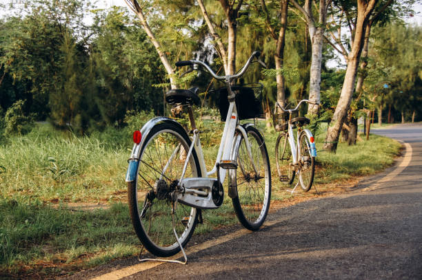 istock two white bicycles stand on road near tropical Park 955492010
