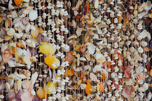 Curtain Of Sea Shells For Decoration Local Bali Stock Photo