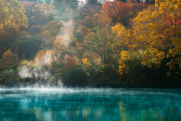 Autumn Onsen Lake Aomori Japan Autumn Forest onsen lake at Jigoku Numa, Hakkoda Aomori Tohoku Japan hakkoda mountain range stock pictures, royalty-free photos & images