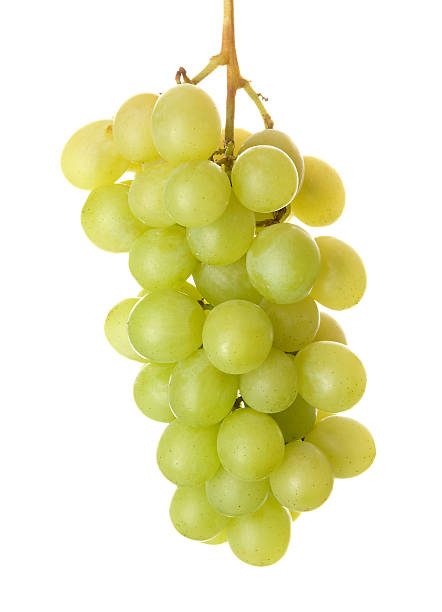 istock Bunch of Green Grapes 95549867