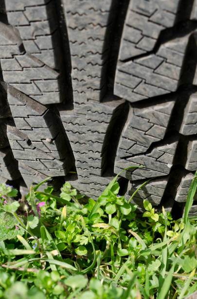 istock Tire with track in the green grass 955498960